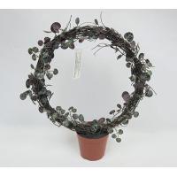 25CM(D) X 38CM(H) ROSARY VINE IN ROUND SHAPE ON BROWN PLASTIC POT.