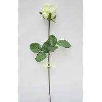 20 / 50CM ROSE BUD W/2 LVS.