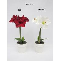 16 / 41CM MPC AMARYLLIS IN PAPER POT W/3 FLRS, 1 BUD & 2 LVS.