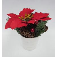 H: 7.50 / 19CM MPC POINSETTIA / ANGEL PINE / BERRIES / PINECONE ARRANGE IN WHITE PLASTIC POT.