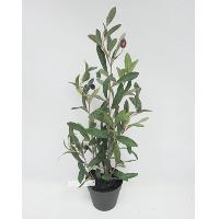 19 POTTED OLIVE TREE W/104 LVS 5 BERRY